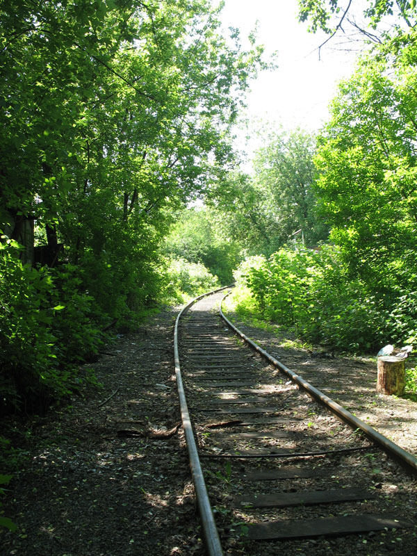 Электрозаводская ветка железной дороги