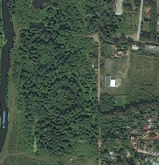 Красково. Снимок остатков парка со спутника