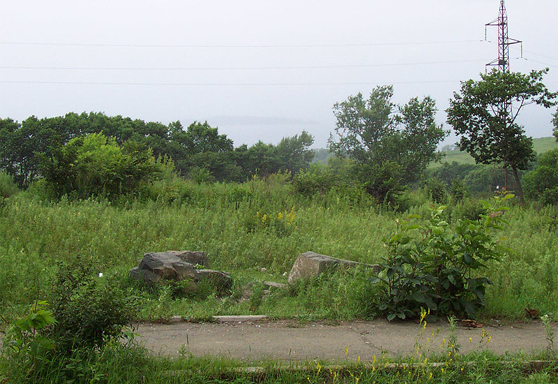 Большой Камень - Вид из парка на мыс Седловидный
